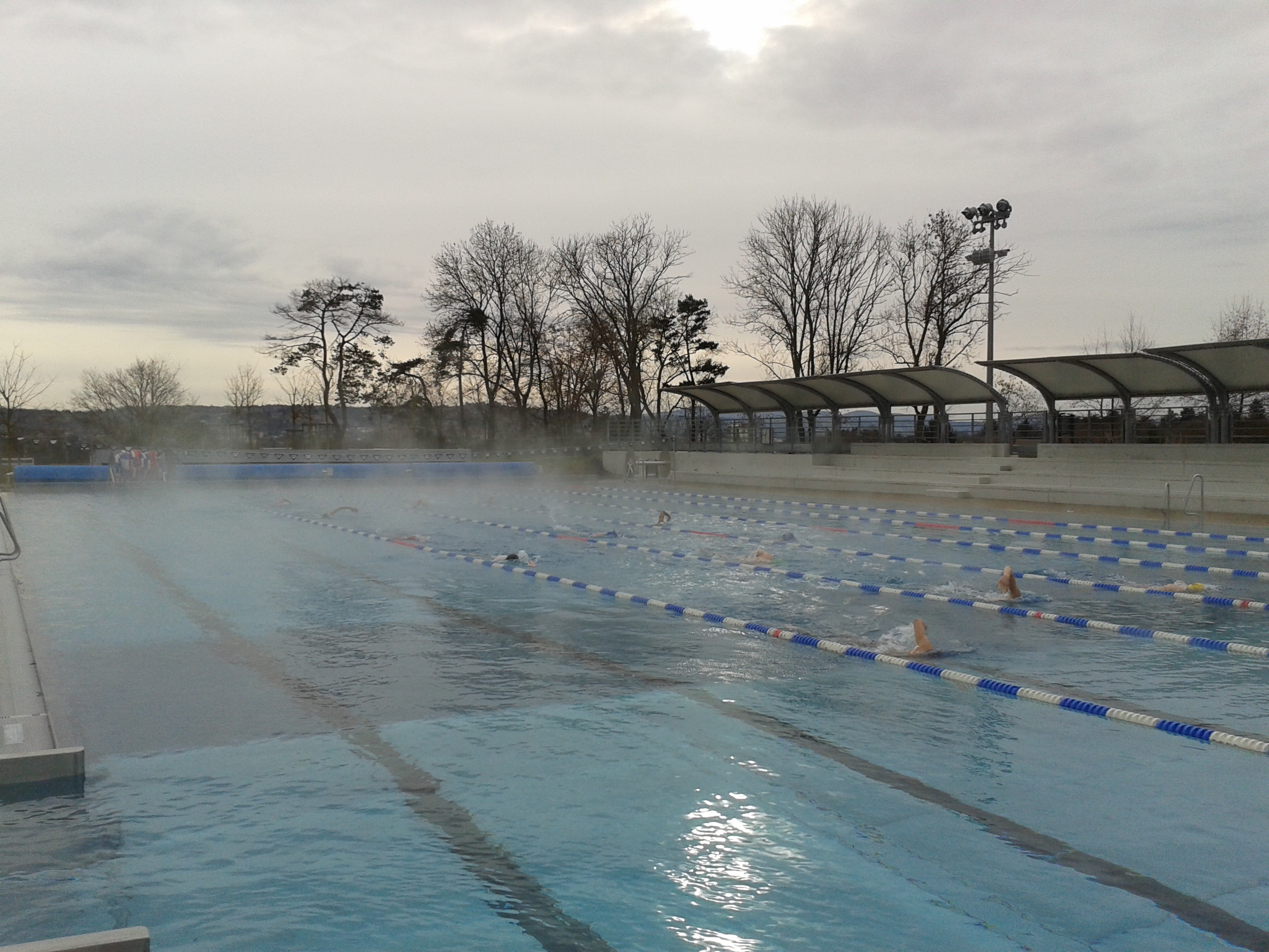 vichy 1